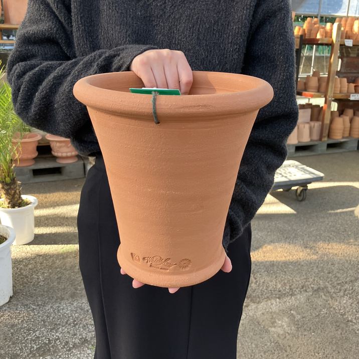 テラコッタ鉢 ウィッチフォード Whichford Paperwhite Pot 792（代引き