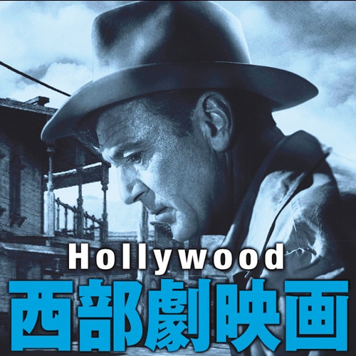 お茶の間名作劇場西部劇50選DVD50枚第一弾 映像と音の友社限定商品