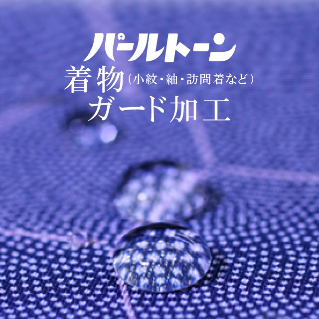 10%OFF☆P10倍／パールトーン加工 訪問着 仕立上がり ガード加工 お