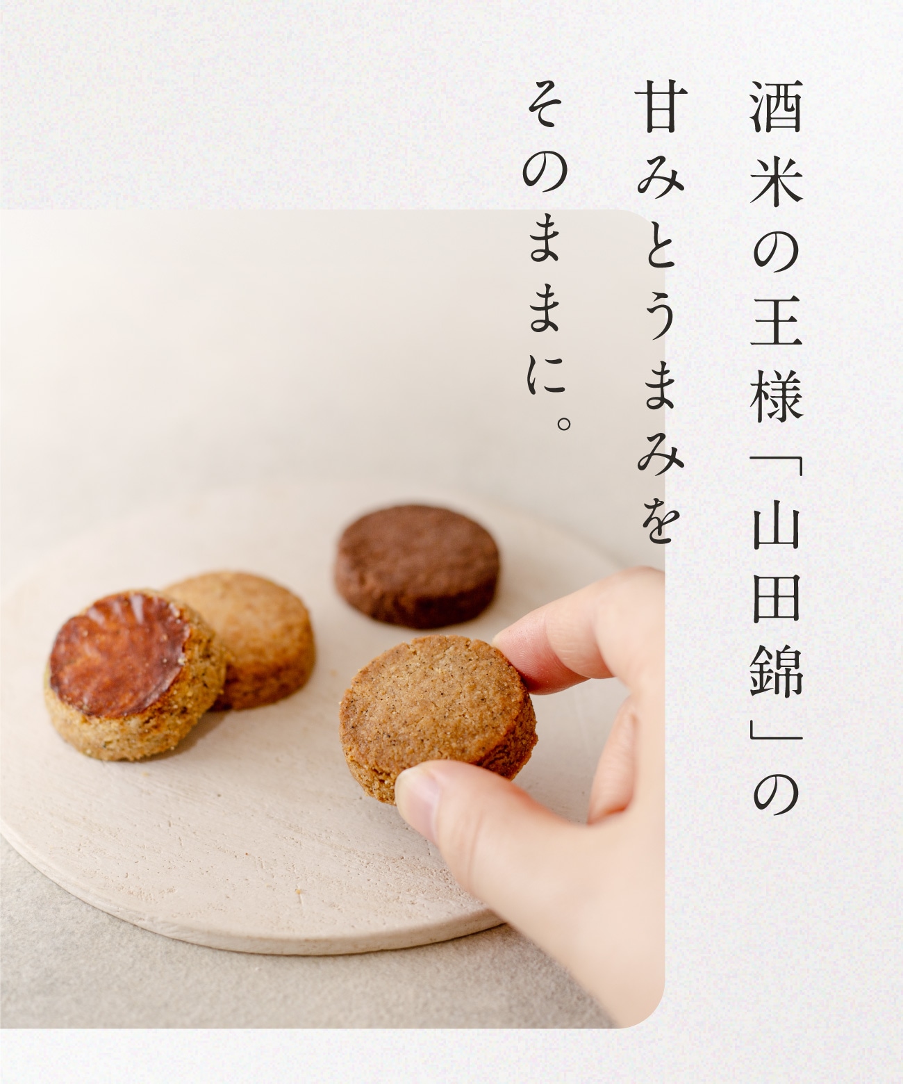 山田錦ガレット アソートボックス（4種 詰合せセット［4種×各4枚