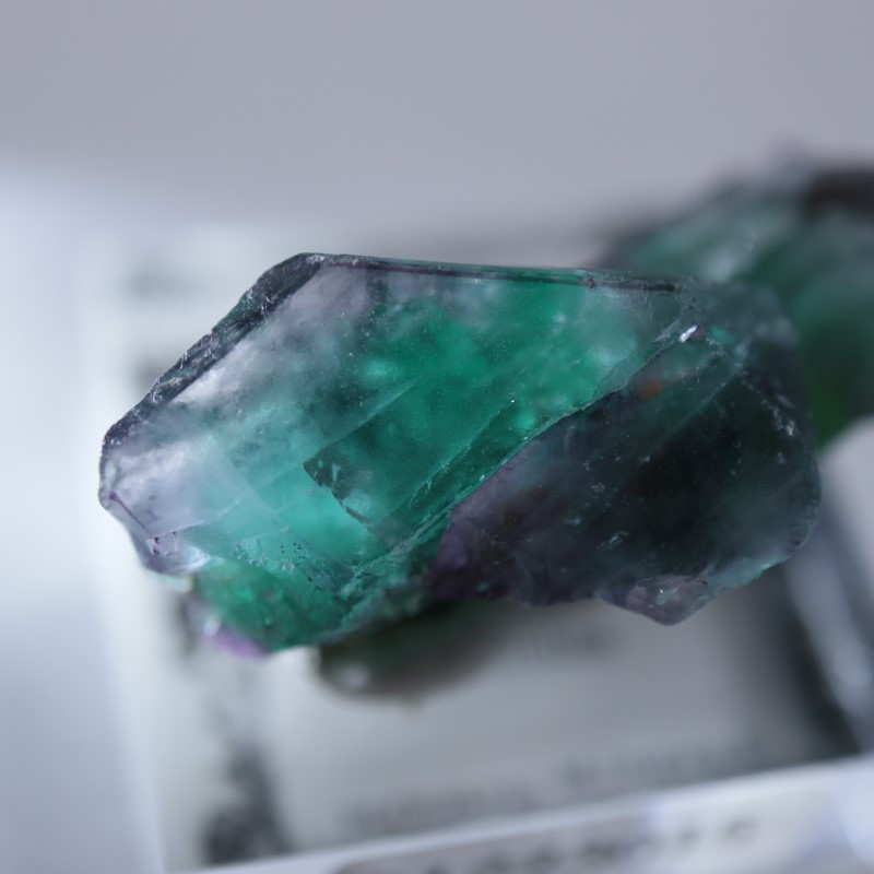 エロンゴ鉱山 フローライト | 鉱物標本,ハ行,フローライト/蛍石