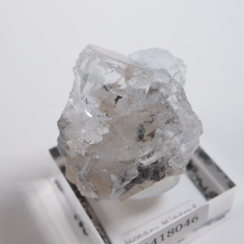 エミリオ鉱山 フローライト | 鉱物標本,ハ行,フローライト/蛍石,フロー