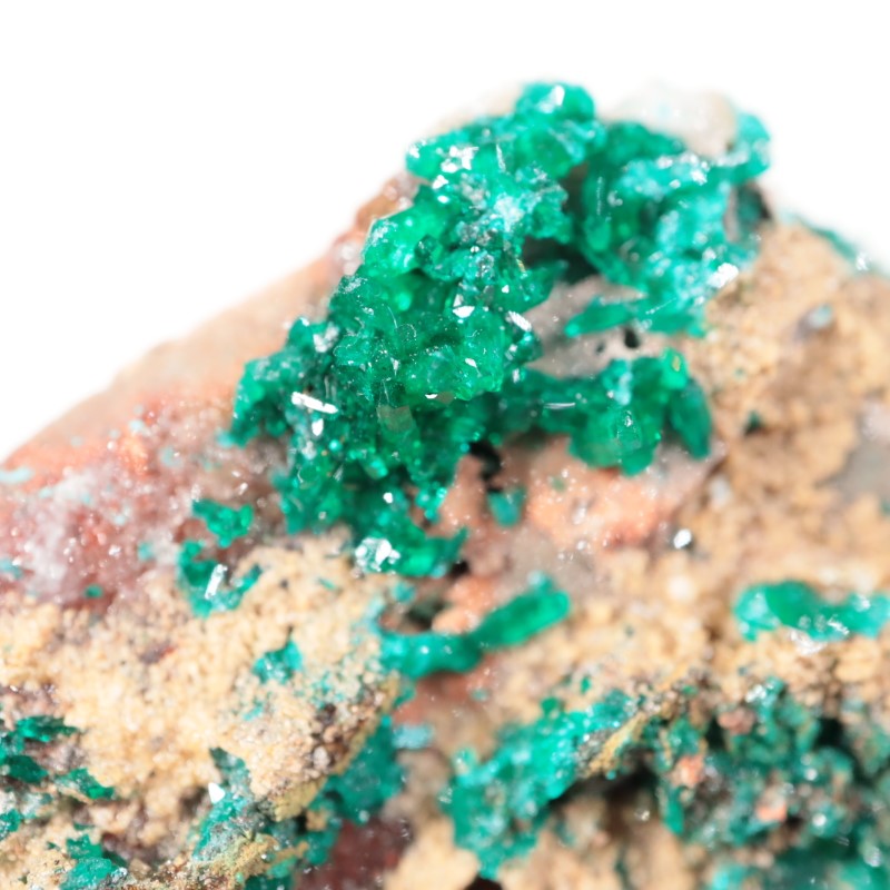 コンゴ産 ダイオプテーズ | 鉱物標本,タ行,ダイオプテーズ/翠銅鉱