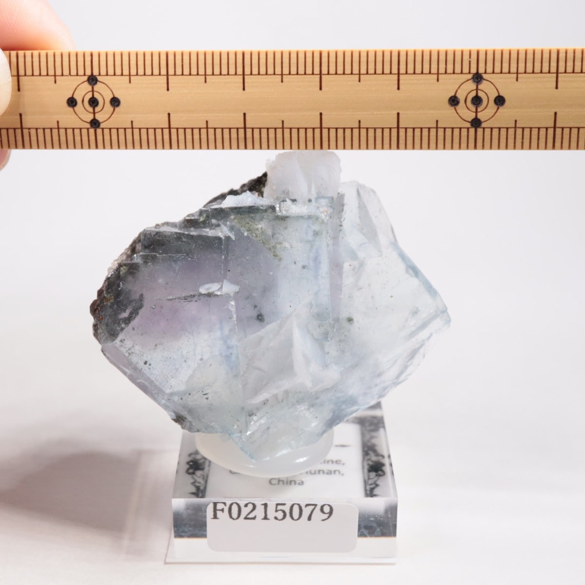 ヤオガンシャン鉱山産 フローライト | 鉱物標本,ハ行,フローライト/蛍