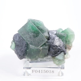 Sherry Twins Pocket産フローライト | 鉱物標本,ハ行,フローライト/蛍