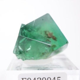 フローライト/蛍石 (イギリス産)」の取扱商品一覧 - ほたるみねらる