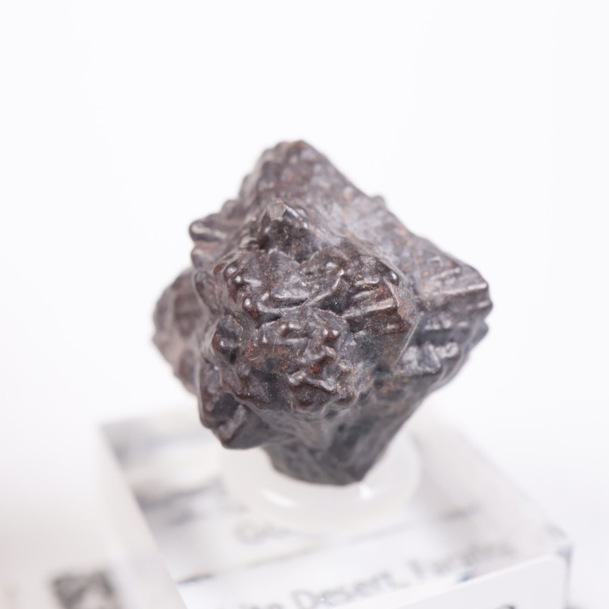 エジプトの星 ゲーサイト（マーカサイト仮晶） | 鉱物標本,その他の