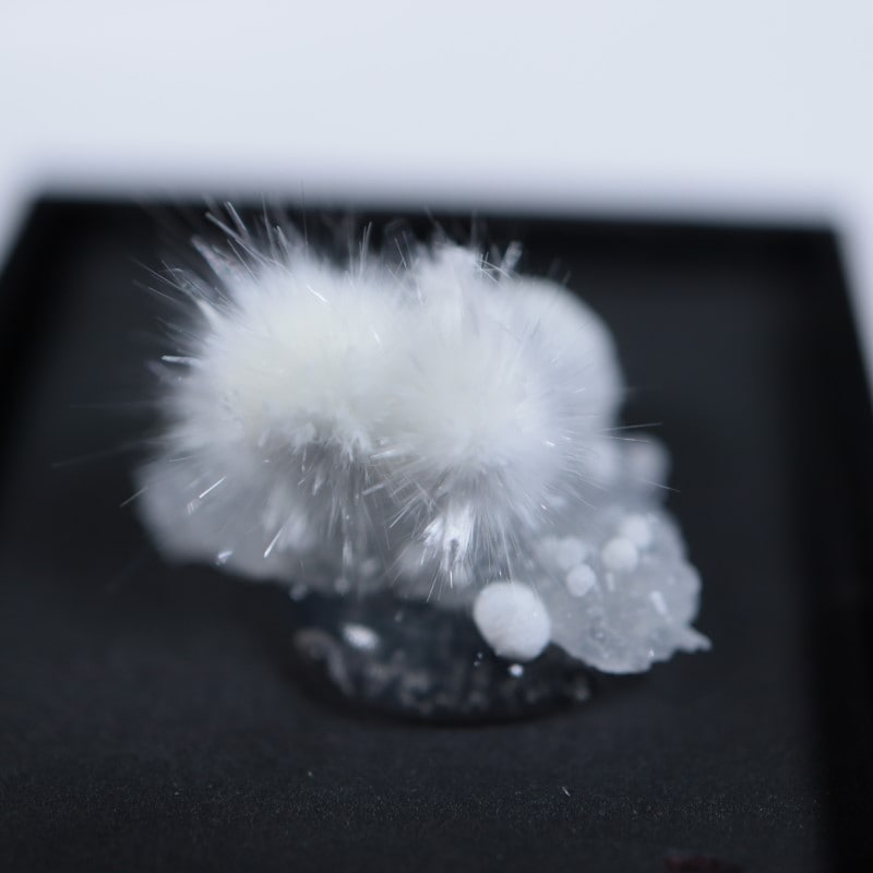 4_000000006626.jpg?1702983961