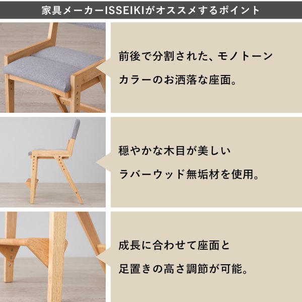 ISSEIKI SOLANA-2 DESK CHAIR (RW-NA-69SGY) | 【公式オンライン