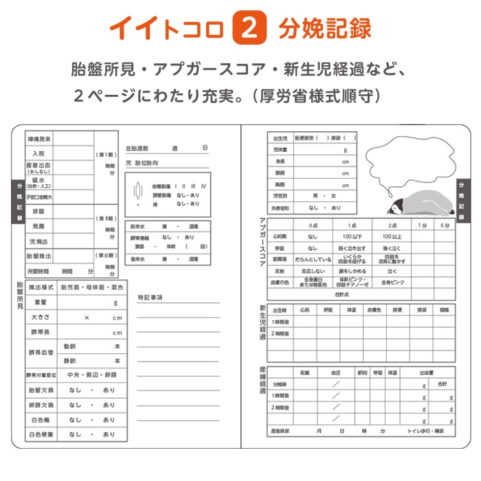 母性看護学生 実習用 ノート 10冊入 80001016 バイタルサイン