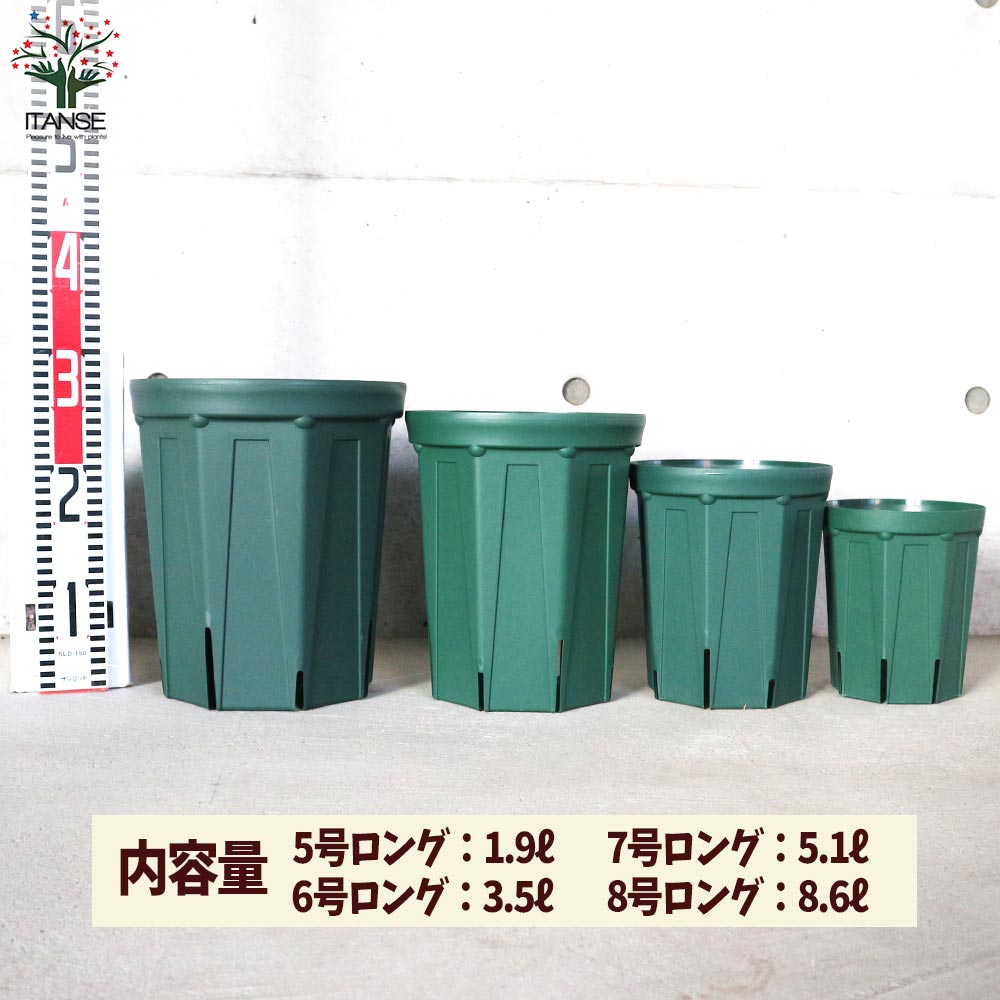 スリット鉢 ロングサイズ 5号＆6号＆7号＆8号 各1個セット【資材