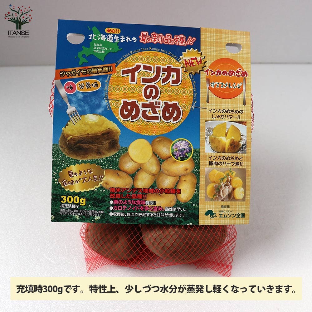 じゃがいもの種芋 インカのめざめ【野菜の苗 ネット詰め 300g入り(充填