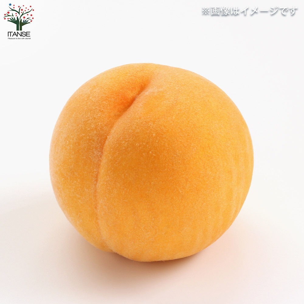 桃の苗木 黄金桃【果樹の苗木 4～5号ポット／1個売り】｜ 【植物の