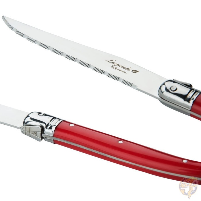 FLYINGCOLORS フライング カラーズ ラギオール ステーキ ナイフ セット