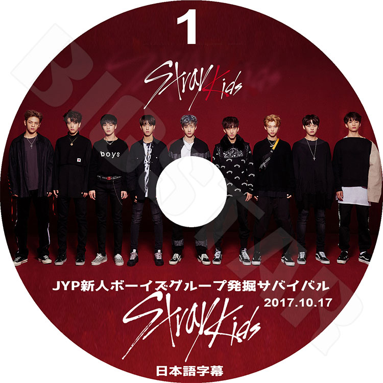 K-POP DVD】Stray Kids #1 (2017.10.17)☆JYP 新人ボーイズグループ