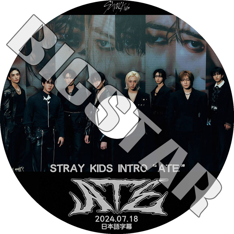 K-POP DVD STRAY KIDS INTRO ATE 2024.07.18 日本語字幕あり Stray