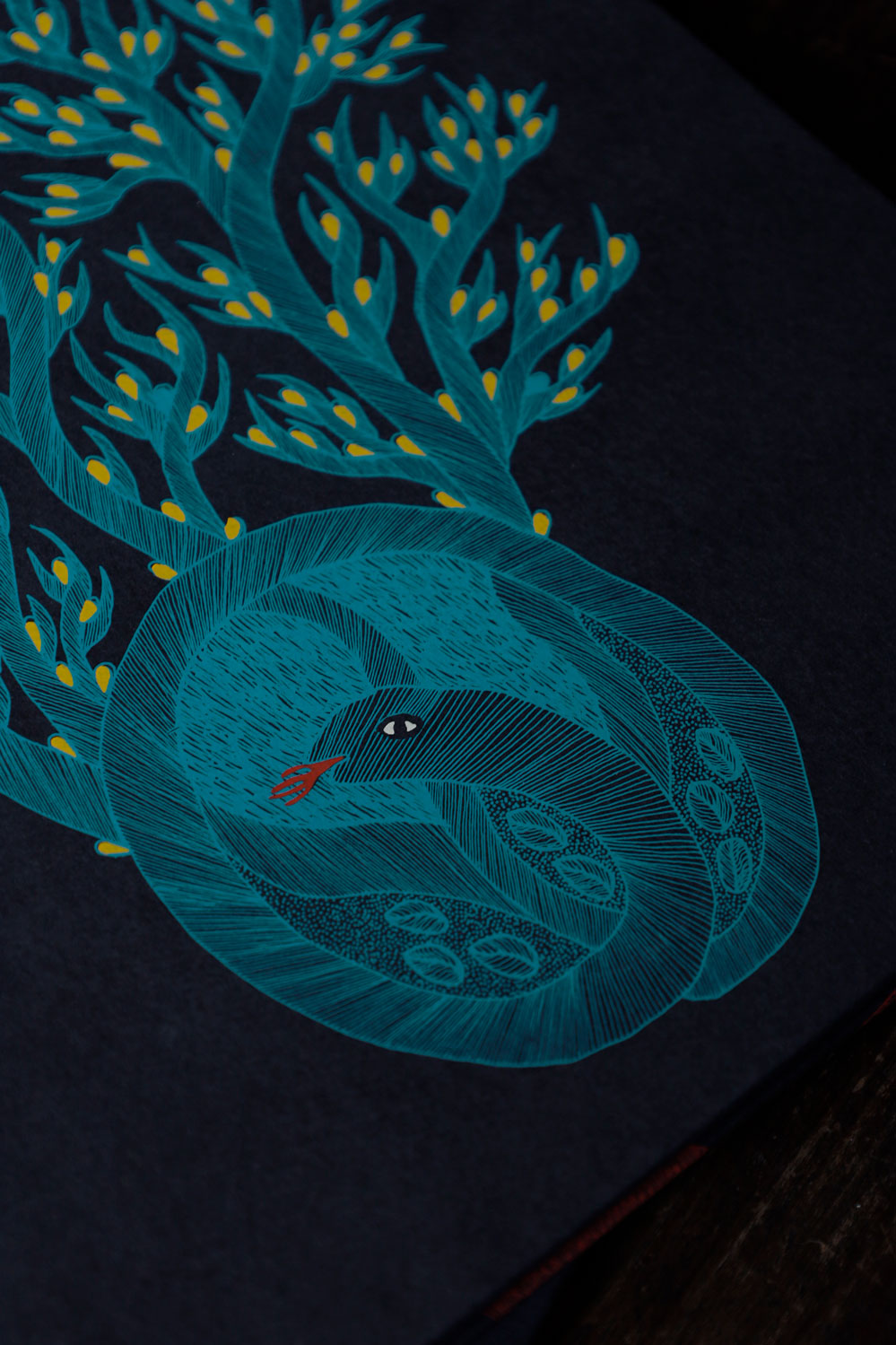 完売】夜の木 第13刷｜恵文社一乗寺店 オンラインショップ