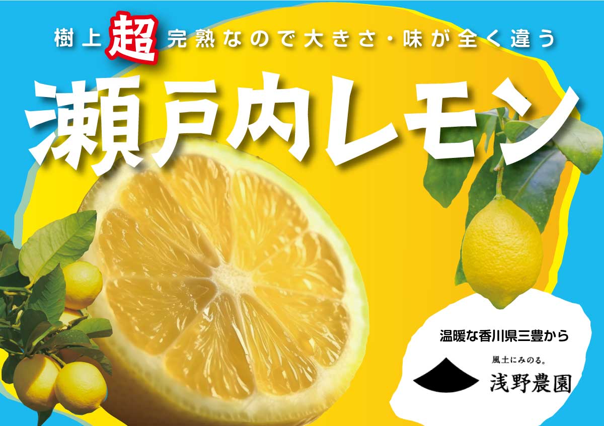香川県産 「超」完熟 瀬戸内レモン | 果物 | SNOW JEWELS