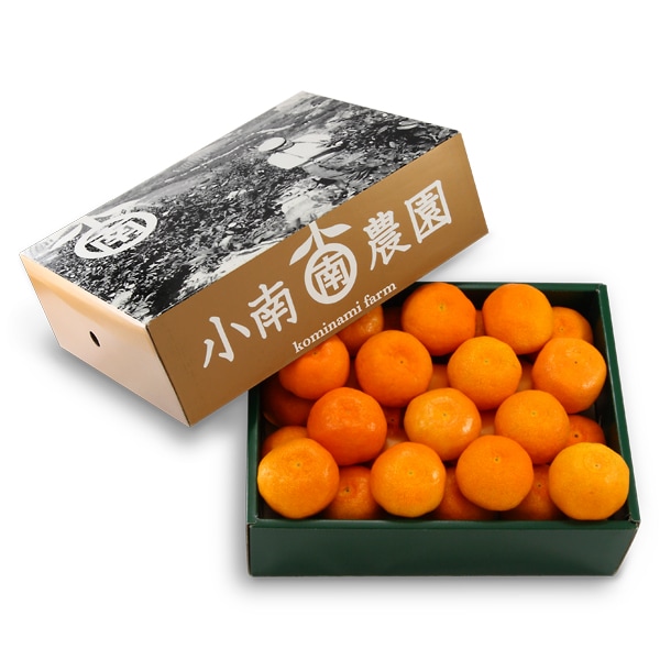 田村の有田みかん2.5kg(特選)【11月15日頃から出荷】 | すべての商品