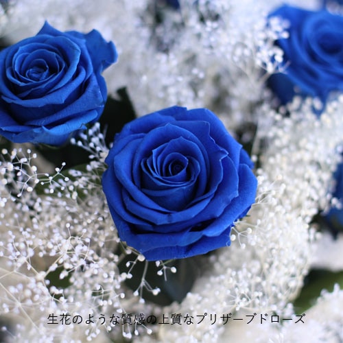 プリザーブドフラワー 青いバラ10本とかすみ草の花束 | プリザーブド