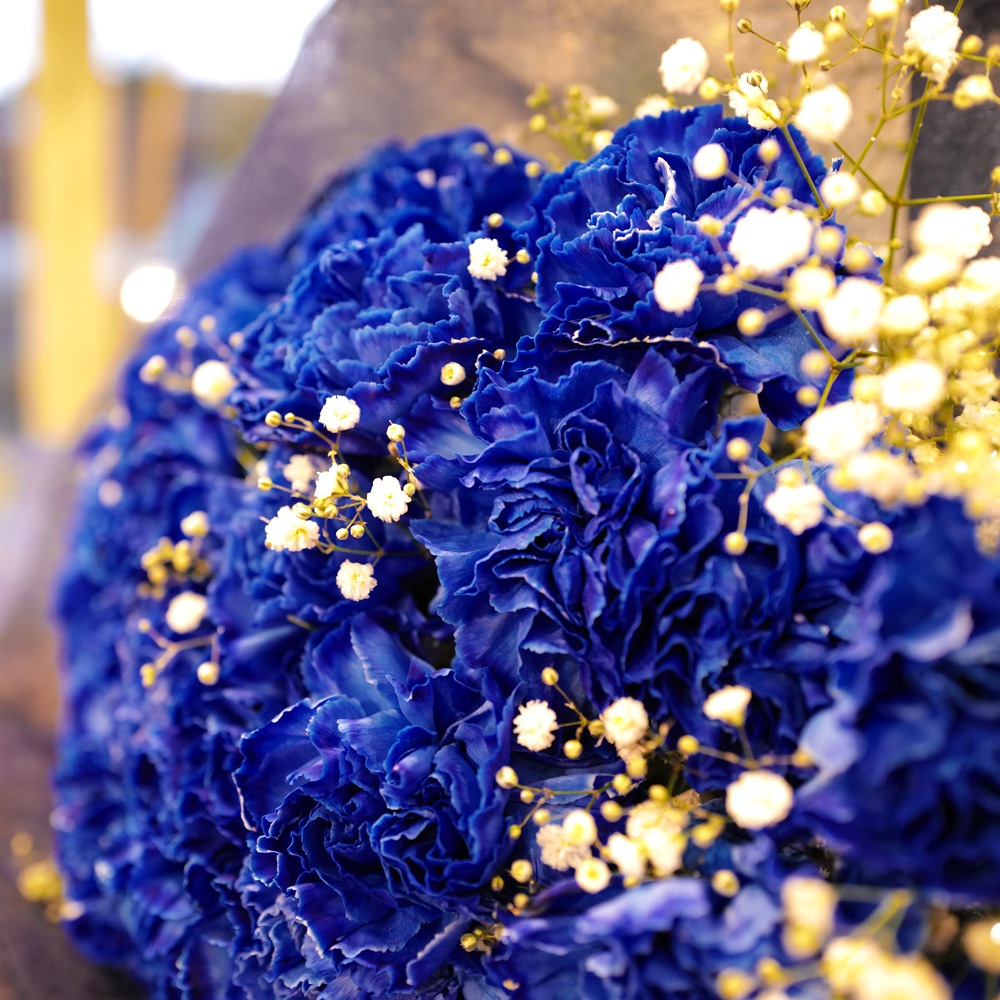 青いカーネーション30本とキラキラかすみ草の花束 | バラ・生花,青い
