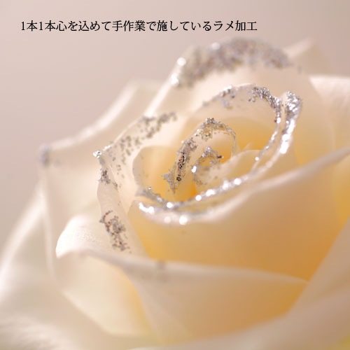 キラキラ白いバラ 20本の花束 | バラ・生花,白いバラ,花束 | ROSESHOP