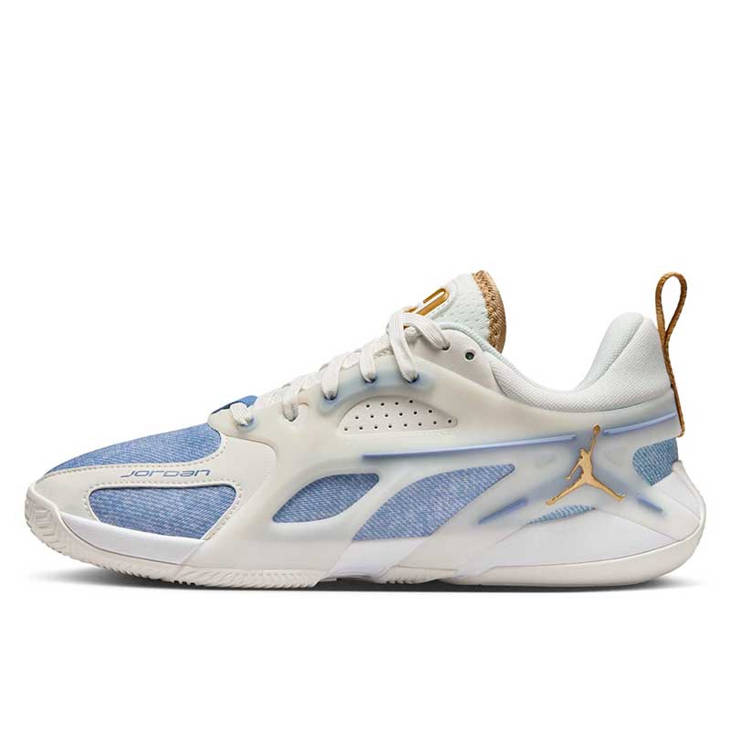 ジョーダン エアー PF Denim and Gold FZ2473-104 ウィメンズ