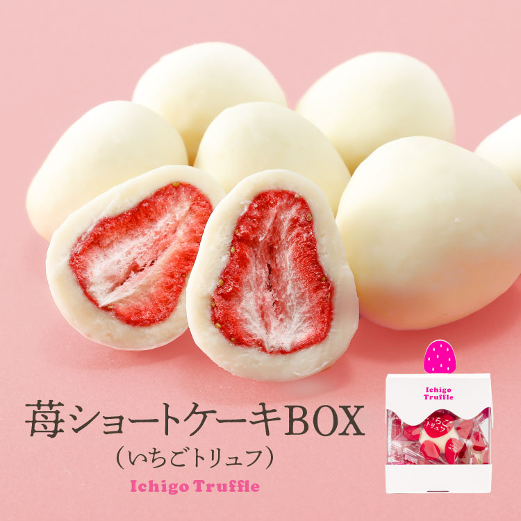 苺ショートケーキBOX（いちごトリュフ） 40g お菓子 チョコレート 苺