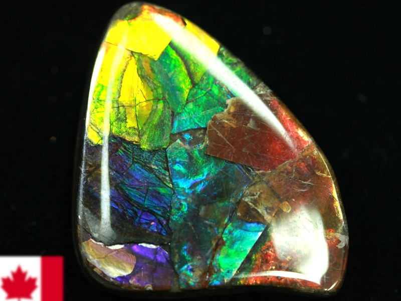 超激レア！虹色に輝くイリデッセンス☆アンモナイト化石宝石☆7000万年