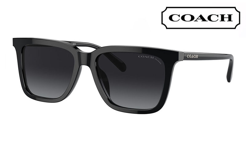 HC8385U 5002T3 54 コーチ COACH サングラス ウェリントン スクエア