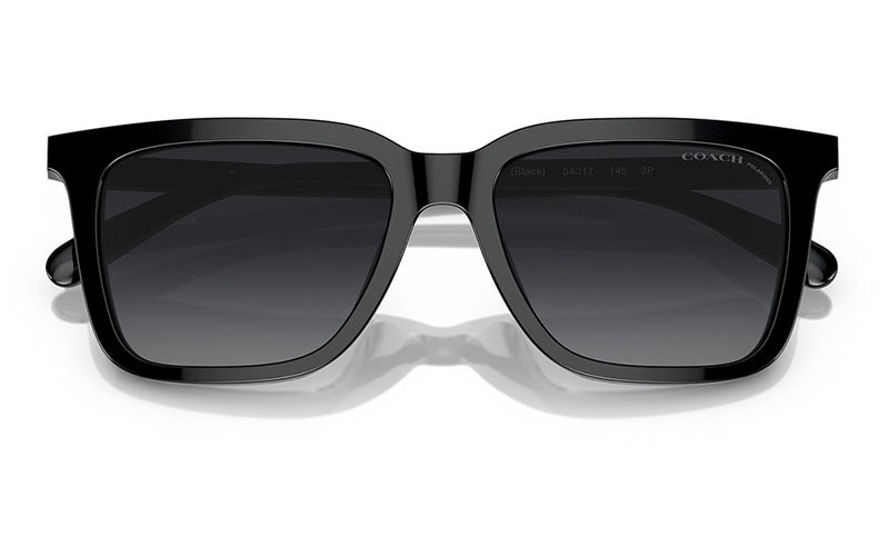 HC8385U 5002T3 54 コーチ COACH サングラス ウェリントン スクエア