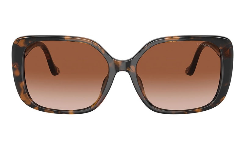 HC8376U 512013 56 コーチ COACH サングラス スクエア セル | 商品検索