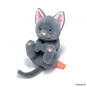 セキグチファンダイレクトショップ本店