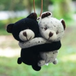 カシミヤのハグベア