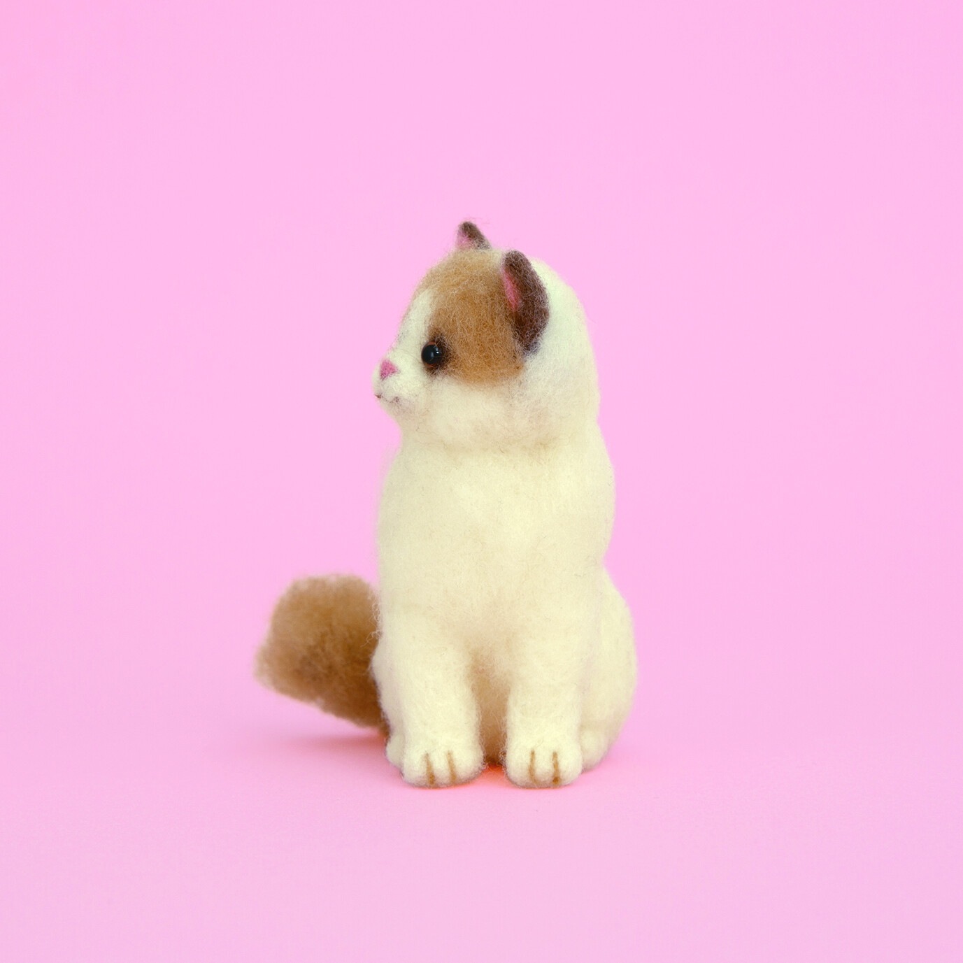 羊毛フェルトキット作る猫 ラグドール | 羊毛フェルト,羊毛フェルト