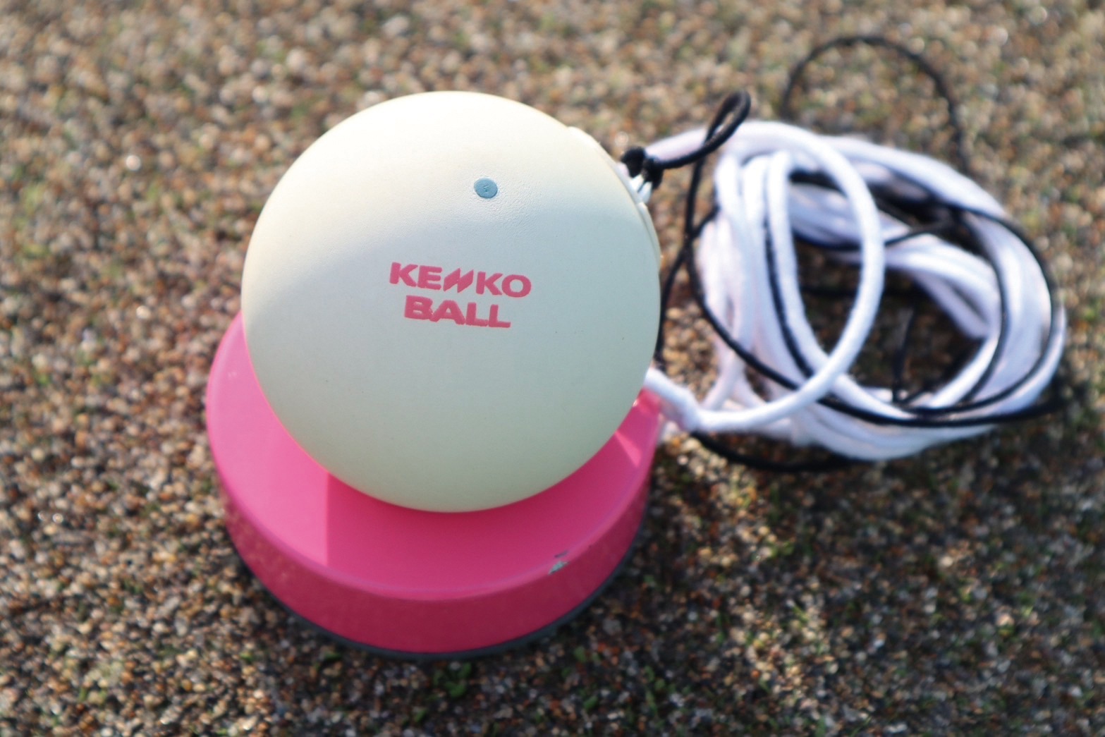 ケンコーセルフテニスII (TST-V-2) 1個｜ナガセケンコー【公式】ネット