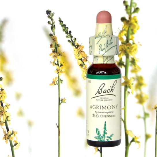 ブランド一覧, バッチフラワーレメディ（プルナマ社）,バッチフラワー