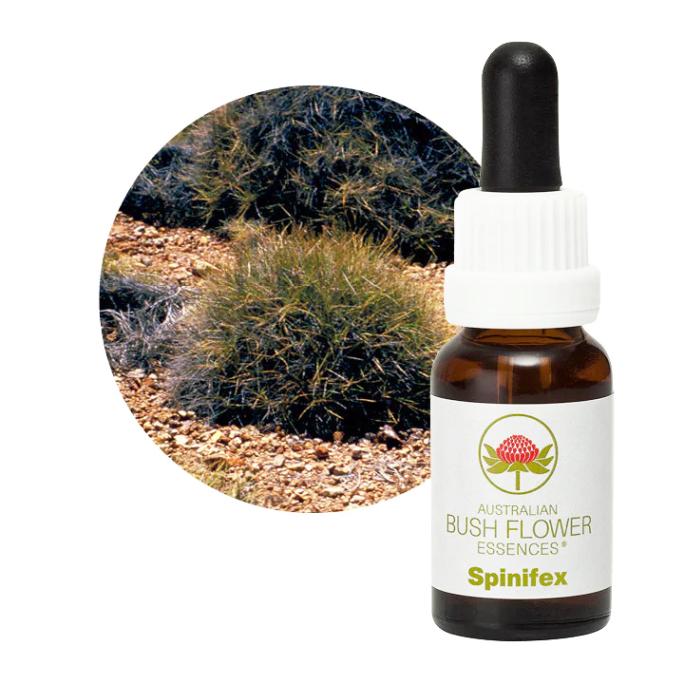 スピニフェックス[Spinifex] | ブランド一覧,オーストラリアンブッシュ