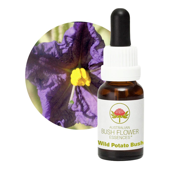 グリーンエッセンス[Green Essence] | ブランド一覧,オーストラリアン