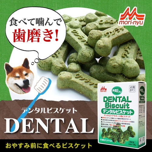 森乳 お気に入り デンタルビスケット120g （犬用おやつ） | ビスケット