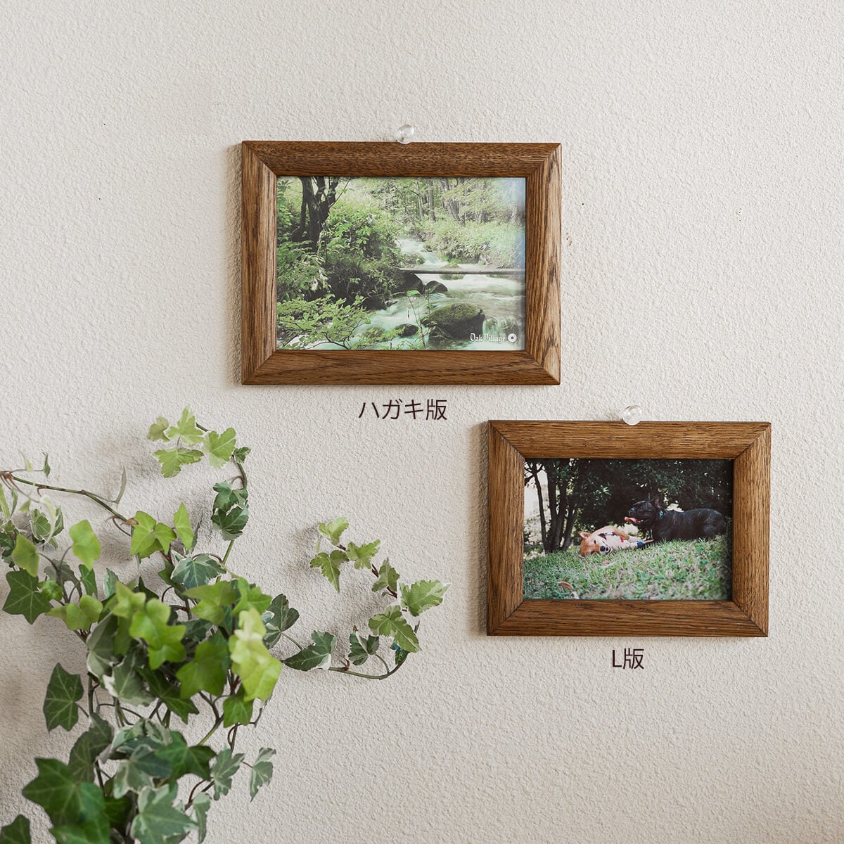 クラシックフレーム丸面 (ブラウン) 【無垢のナラ材を使い、木組みの