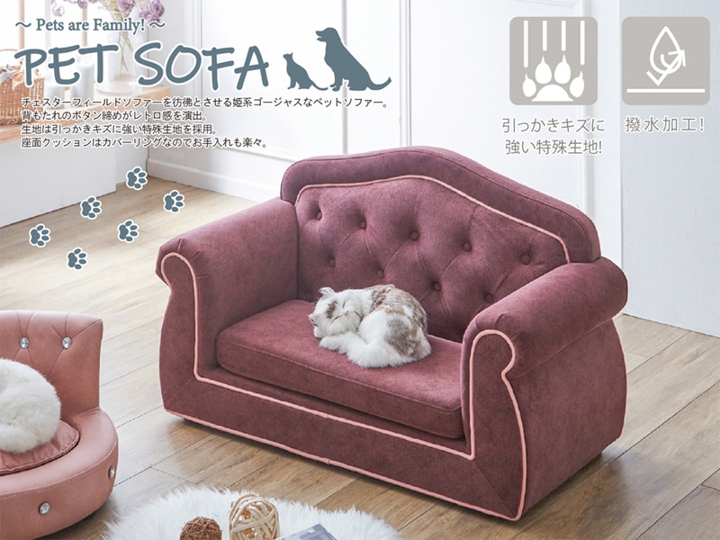 チェスターフィールドソファーを彷彿とさせる姫系ゴージャスなペット