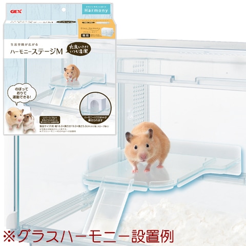 ロフトハウスセット グラスハーモニー600 専用 グラスハーモニー600