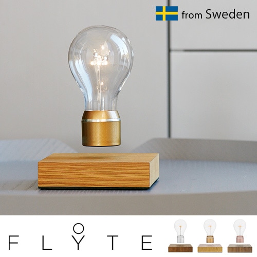 フライト FLYTE | 新着 | plywood(プライウッド)