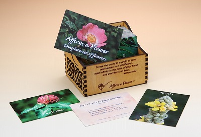 アファメーションカード・フルセット（木箱入り） 《FES