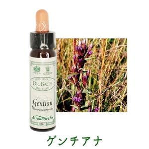 エインズワースバッチフラワーエッセンス｜フラワーレメディ【公式】