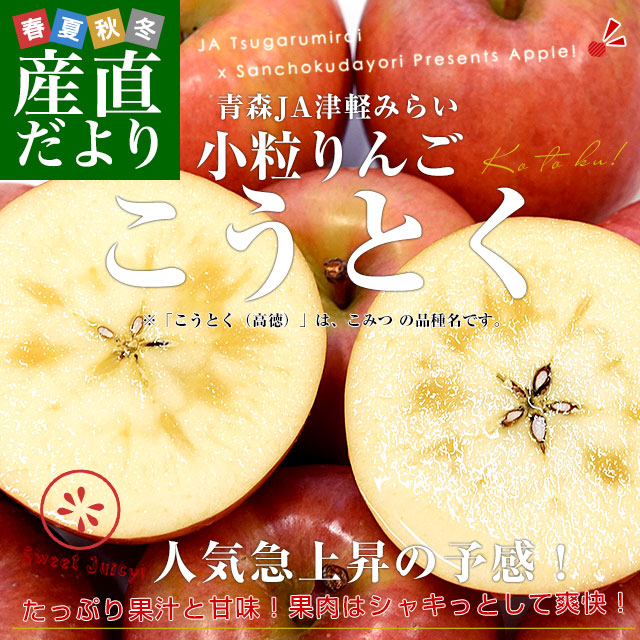 青森産 JA津軽みらい こうとく（高徳） 2.5キロ前後 （12玉から13玉