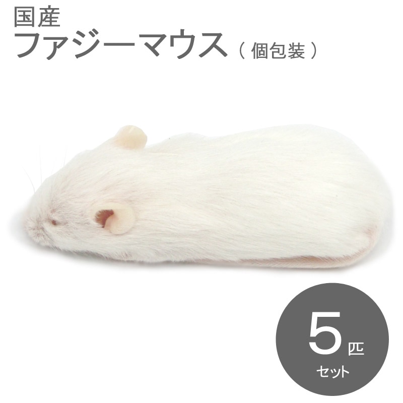 冷凍マウス ファジー 5匹 国産 SAfarm | 冷凍マウス,ファジー | SAfarm