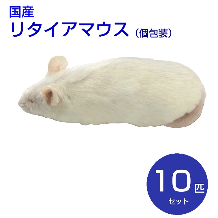 冷凍マウス リタイア 10匹 国産 SAfarm | 冷凍マウス,リタイア