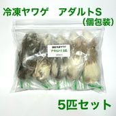 冷凍ヤワゲ | SAfarm 国産冷凍マウス・ラット専門店